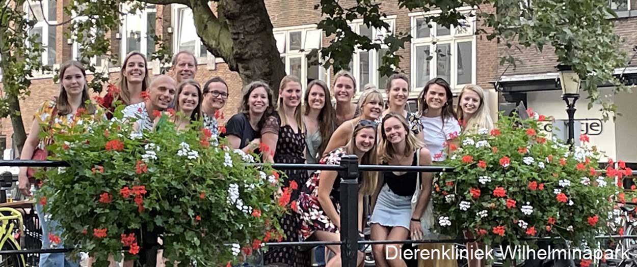 De dierenartsen en (paraveterinaire en Diergeneeskundige Student) assistentes van Dierenkliniek Wilhelminapark in 2021